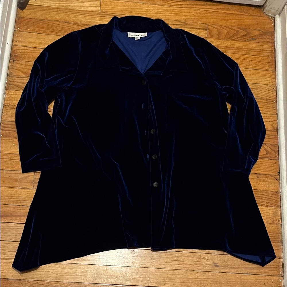 Caroline Rose Velvet Button-Up Tunic in Deep Blue